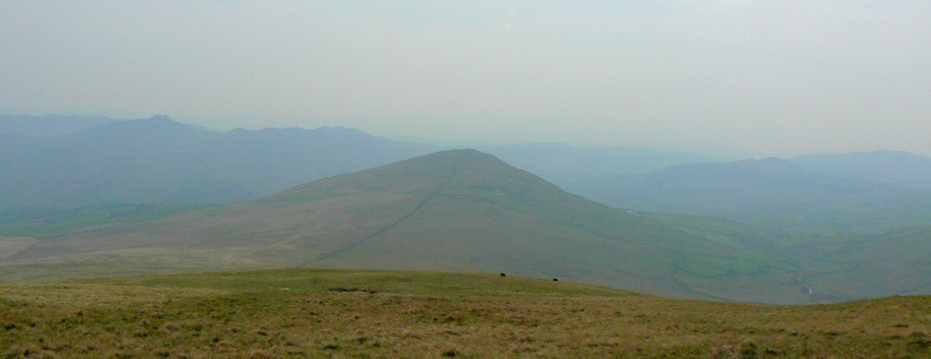 The Pike The Pike